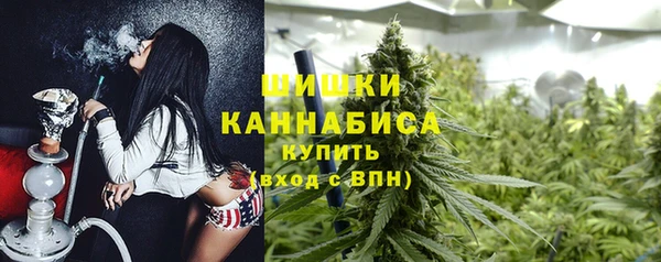 прущие крисы Осинники