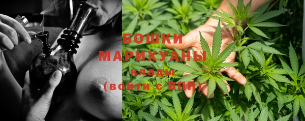 дурь Осташков