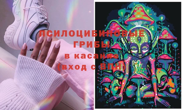соль курить ск Няндома